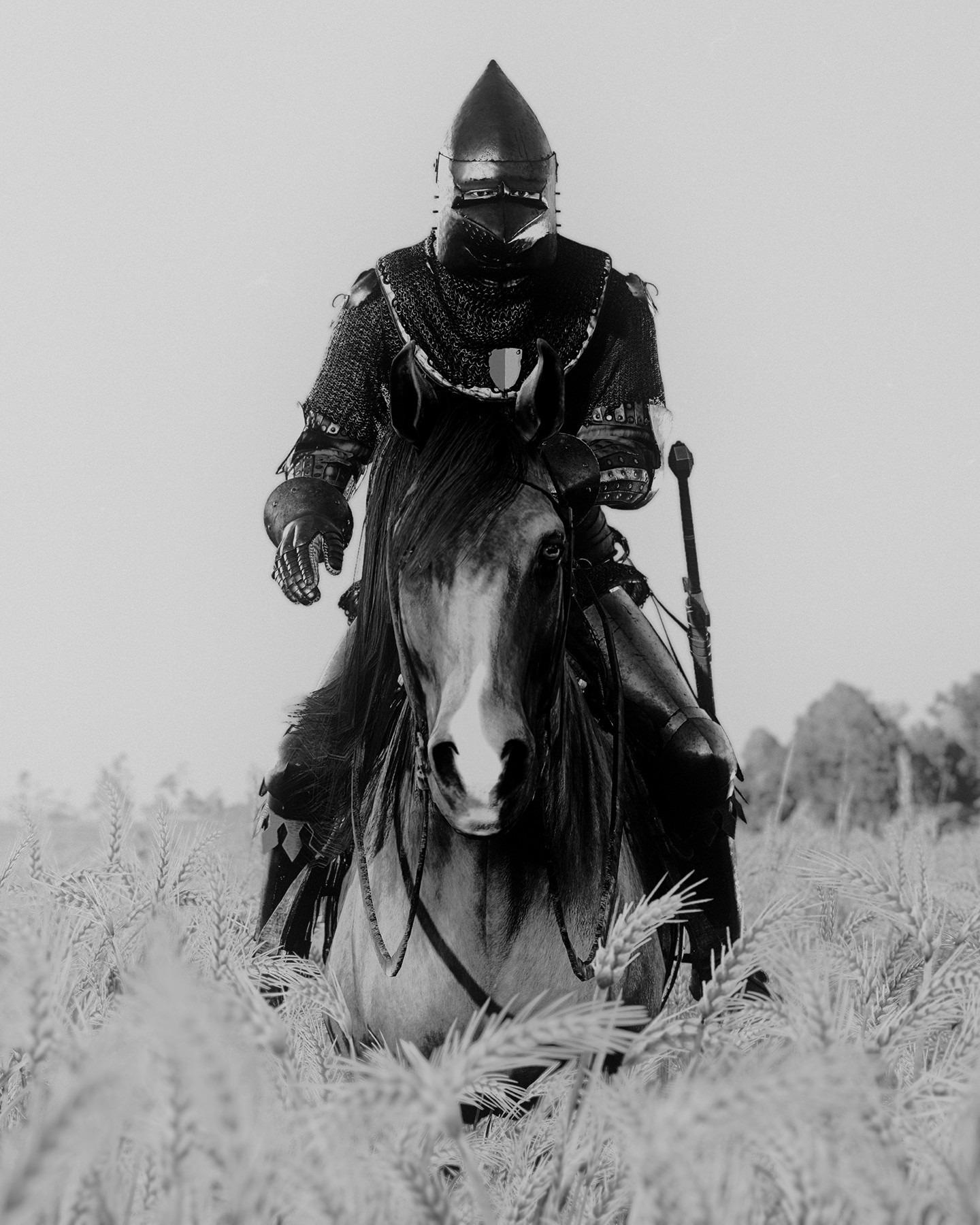 playpausephoto