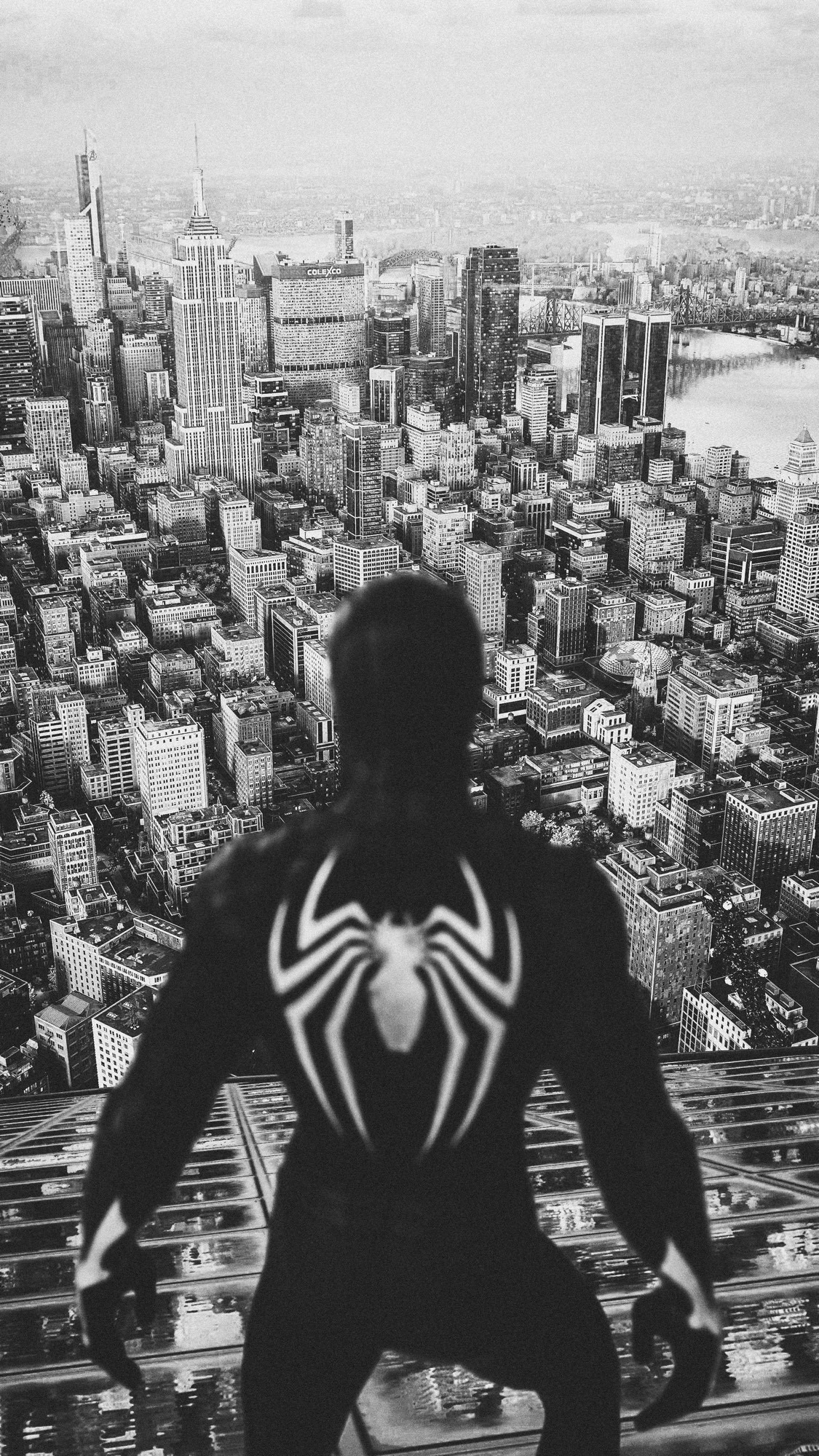 spideroftsushima